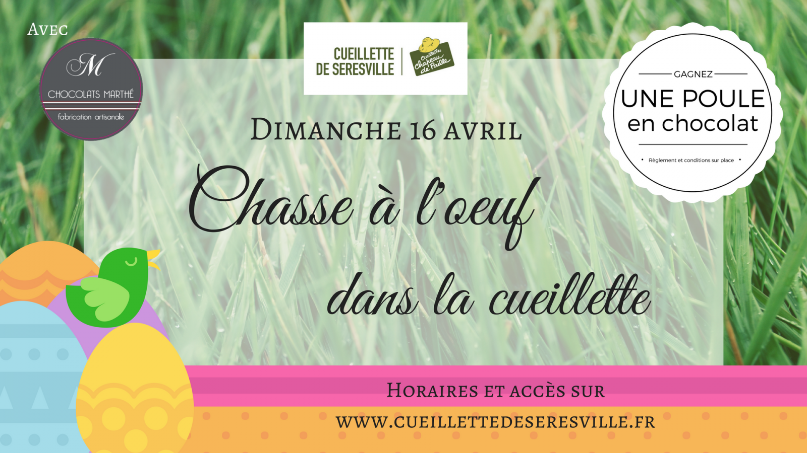 Venez Chasser l'oeuf à la cueillette! Venez vous amuser en famille ou entre amis