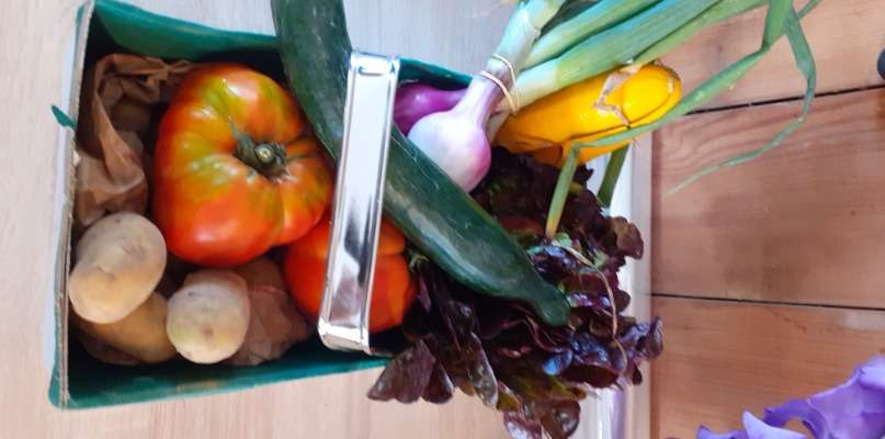 PANIERS SURPRISES ANTI-GASPI