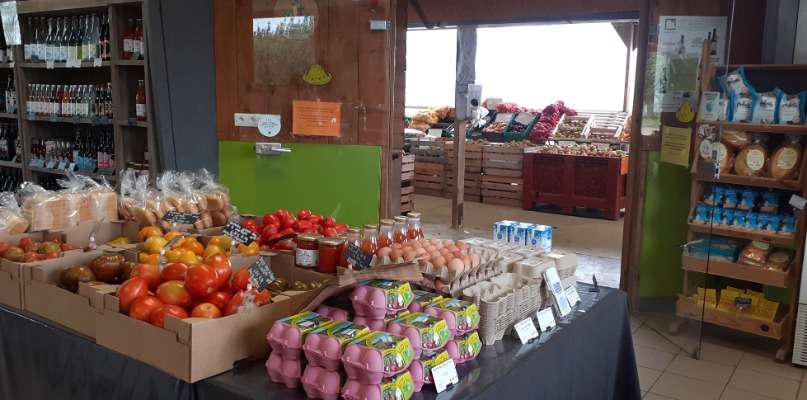 FIN DE SAISON POUR LA CUEILLETTE MAIS LA BOUTIQUE RESTE OUVERTE