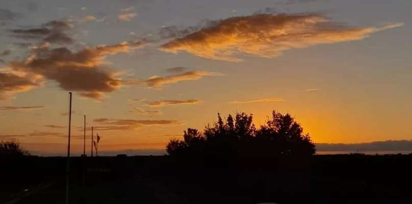 LA CUEILLETTE EN NOCTURNE SOIREE CONCERT